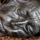 La cabeza increíblemente bien conservada de Tollund Man